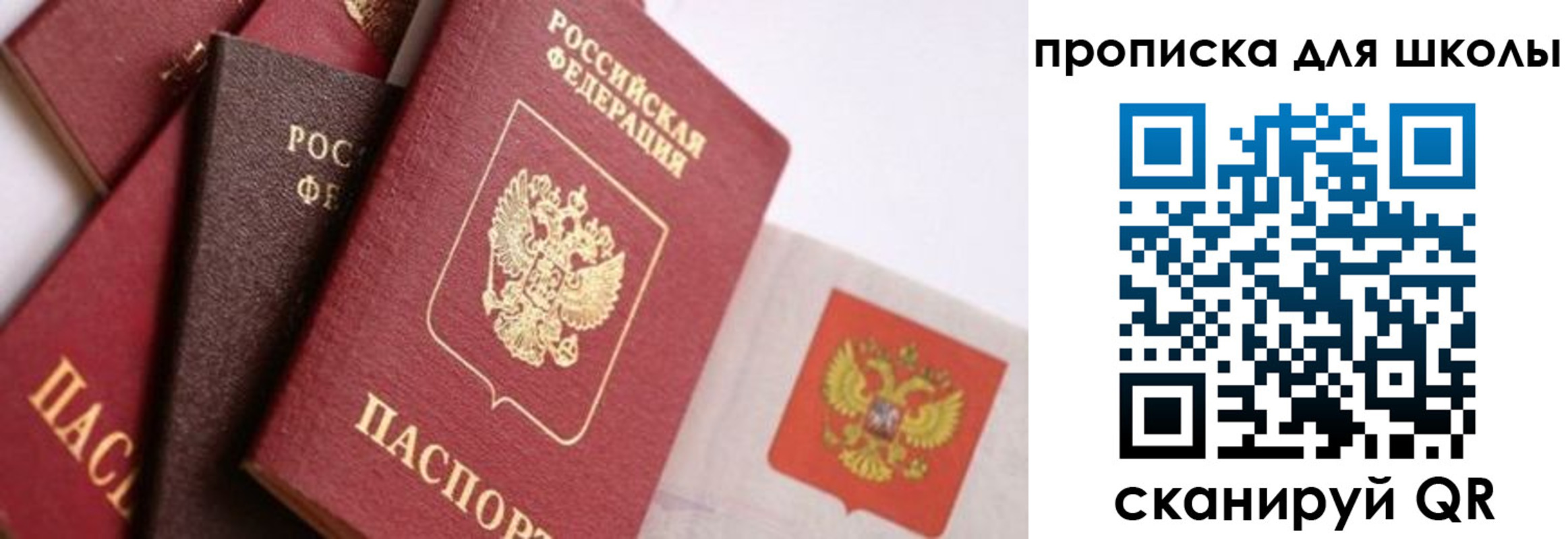 прописка поиск в Бердске